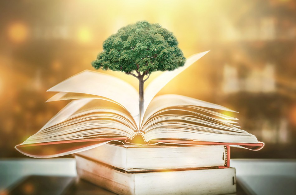 Užimtumo tarnyba: pokyčiai nuo liepos 1 d. atvers daugiau galimybių mokytis