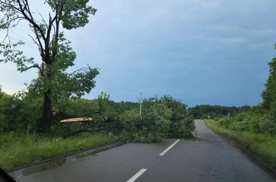 Rajone virto medžiai, mieste rimtų audros padarinių išvengta