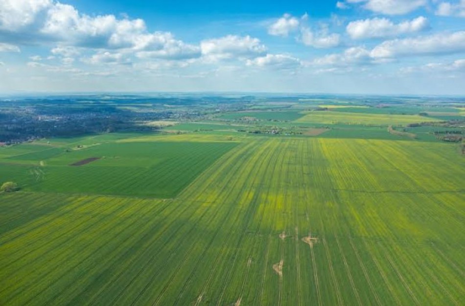 NŽT: Pažeidėjams galės būti skiriamos žodinės pastabos