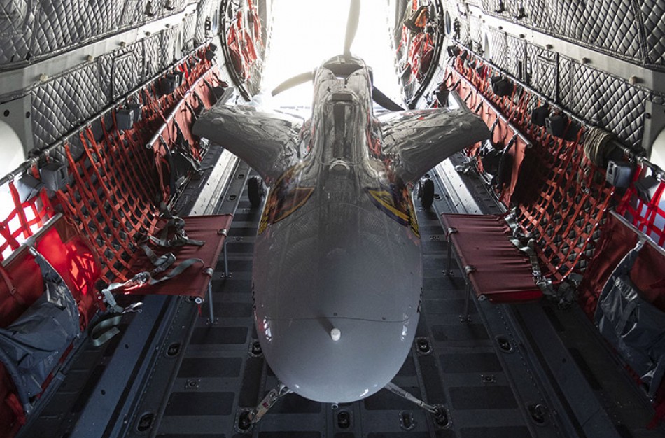 „Bayraktar-Vanagas“ – jau Lietuvoje