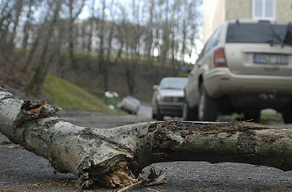 Dėl paramos patekus į ekstremalią situaciją