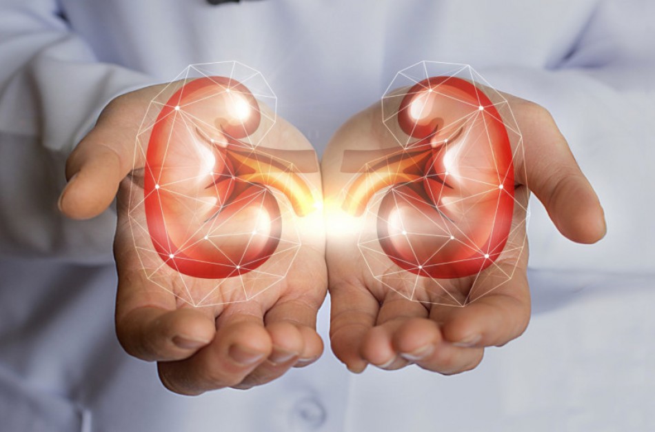 Su dovanotu inkstu gyvenantis Mindaugas: „Net jeigu diena būna apsiniaukusi, akyse visuomet šviesu“