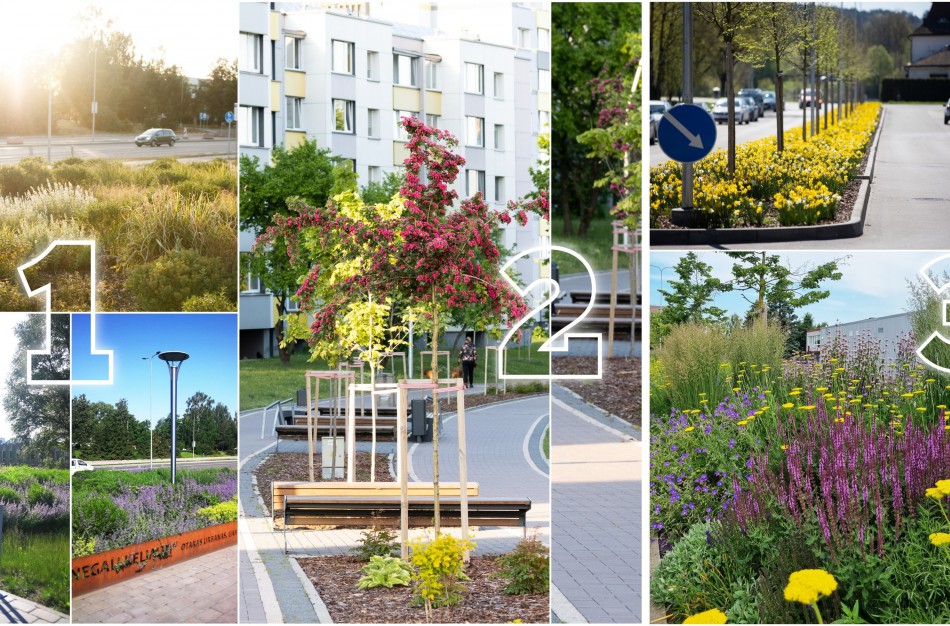 Jonaviečiai išrinko gražiausią gėlyną mūsų mieste 