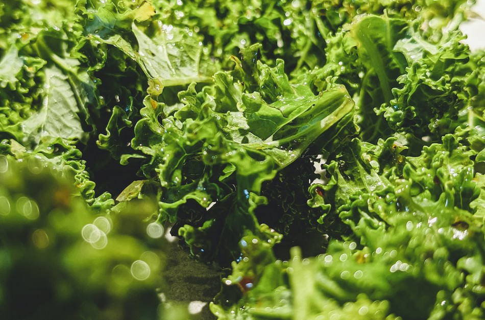 Salotų lapai – gardi alternatyva net ir duonai: išbandykite originalius receptus