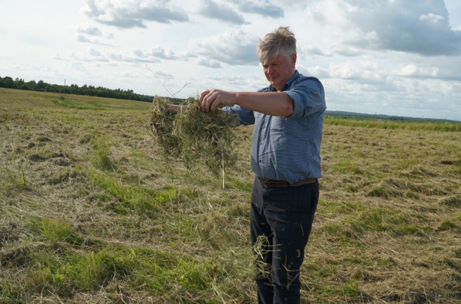 Ministras K. Navickas: nesąžiningai gauti išmokų už pievų priežiūrą nebepavyks