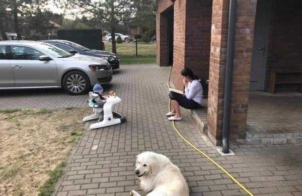 Jautrus Apio šeimininkų laiškas:  padėkite jam grįžti namo