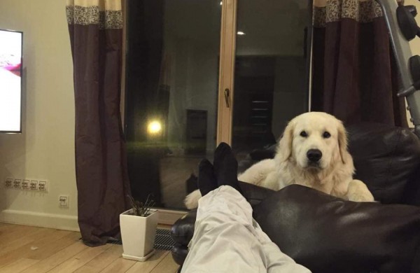 Jautrus Apio šeimininkų laiškas:  padėkite jam grįžti namo