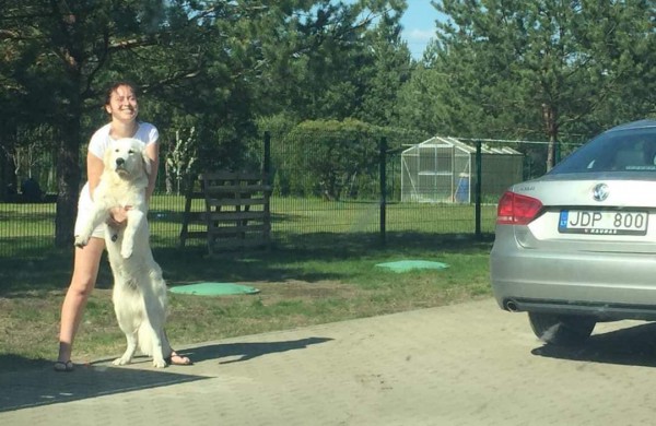 Jautrus Apio šeimininkų laiškas:  padėkite jam grįžti namo