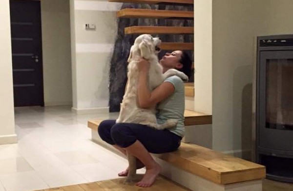 Jautrus Apio šeimininkų laiškas:  padėkite jam grįžti namo