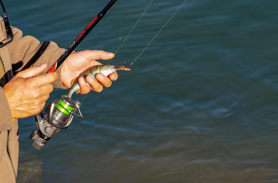 Priminimas žvejams mėgėjams: ką turi žinoti kiekvienas besiruošiantis į žvejybą