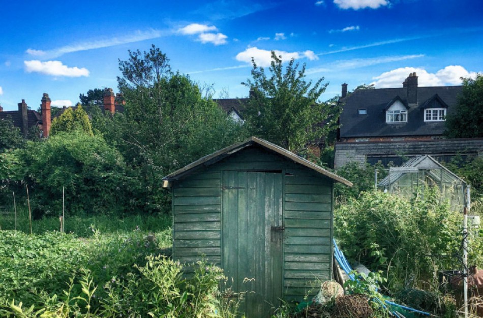 Statybos privačiame žemės sklype: ką reikia žinoti?