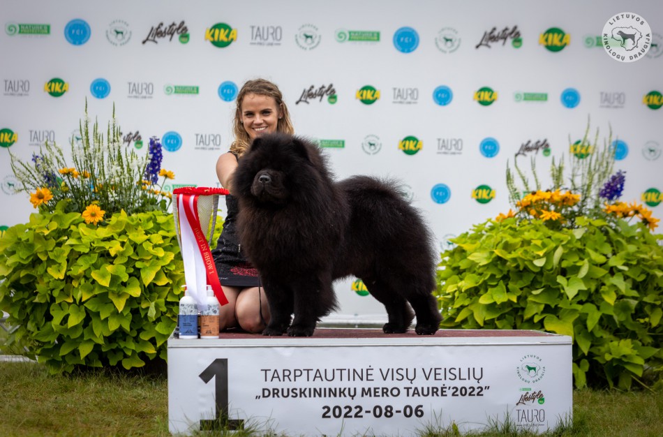 Jonavoje įsikūręs veislynas ,,Lietuvos liūtas" toliau pildo laimėjimų sąrašą