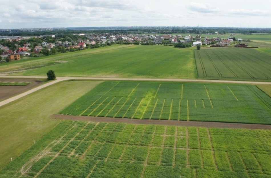Žemės ūkio ministerija kreipėsi į Europos Komisiją dėl išimčių Lietuvos ūkininkams