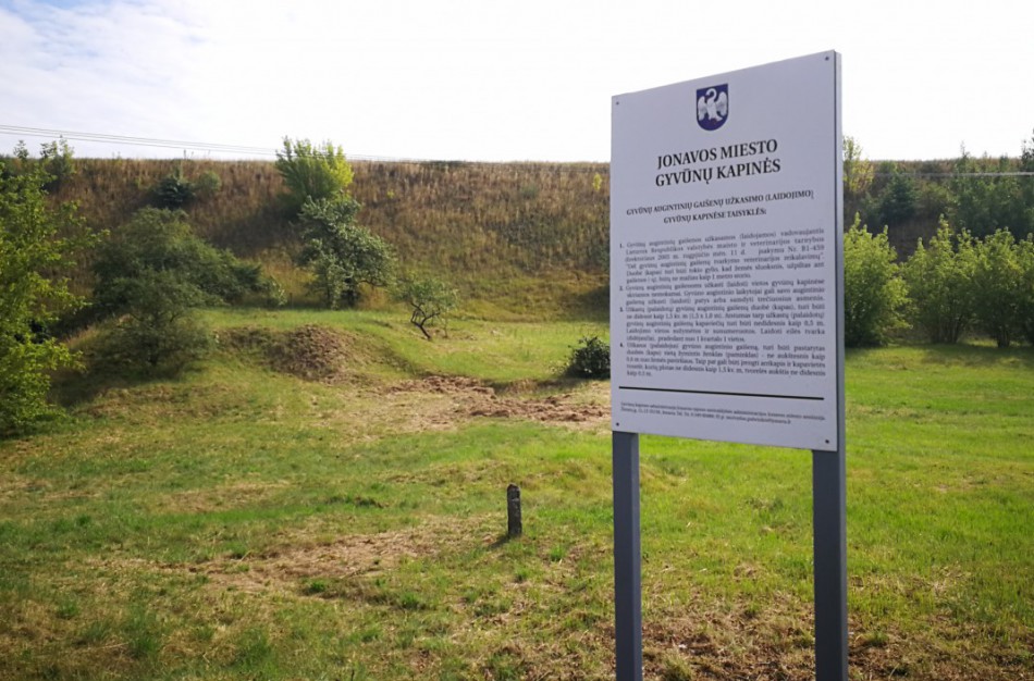 Gyvūnų kapinaičių lankytojai pasigenda šienavimo darbų, tačiau prie tvarkos palaikymo raginami prisidėti ir jie patys