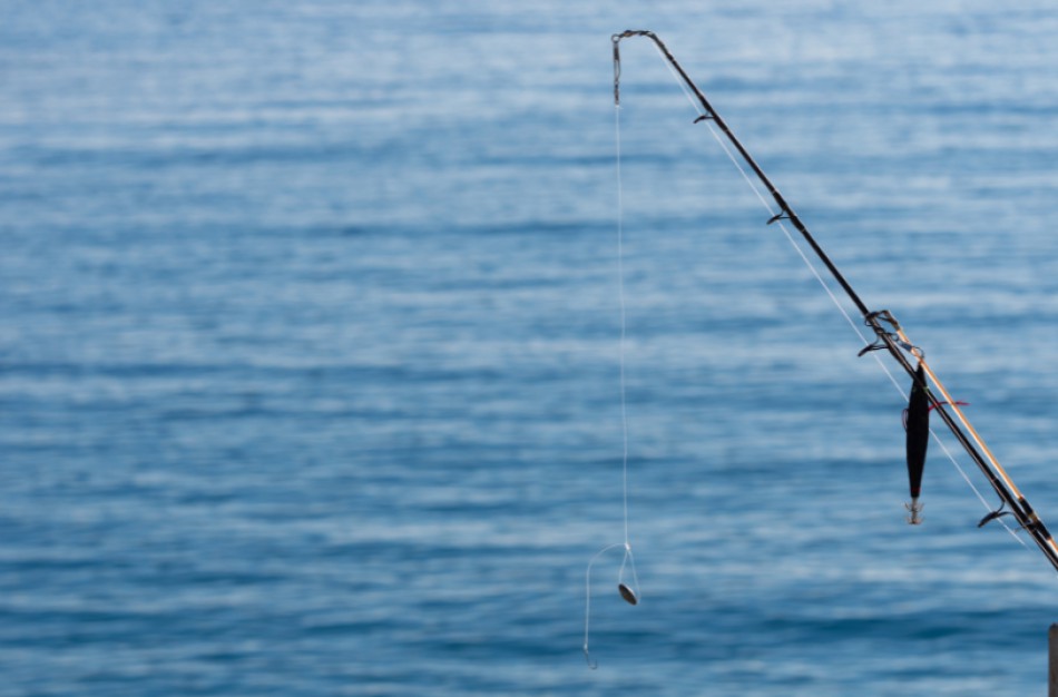 Planuoja drausti skritulius, keičiame lašišų, šlakių ir ungurių žvejybos taisykles