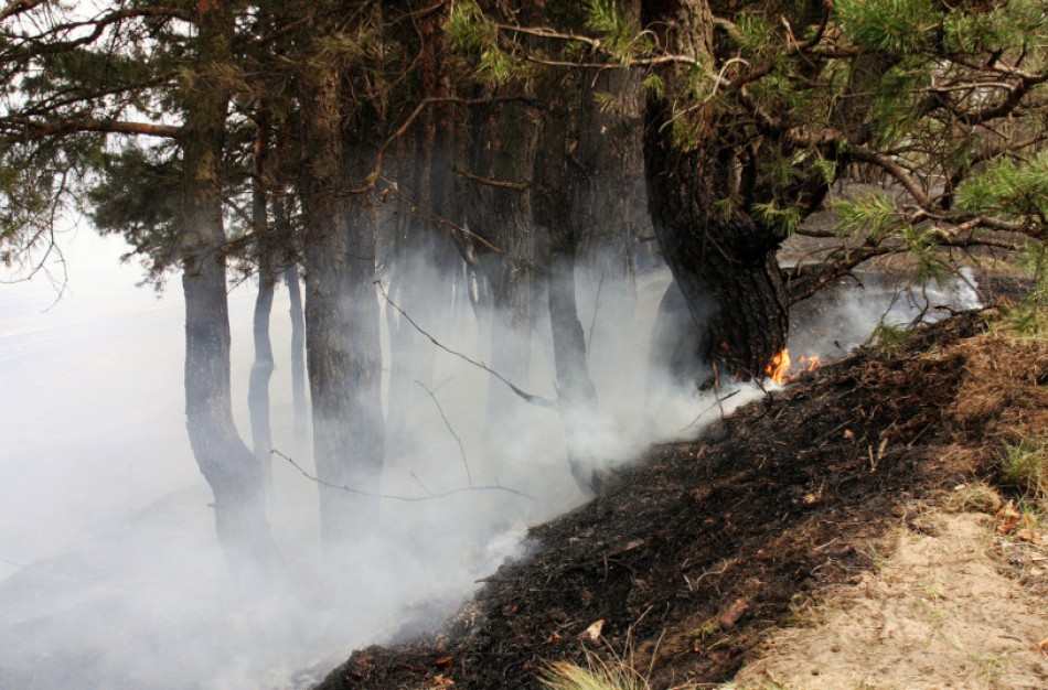 Būkite ypač atsargūs su ugnimi lankydamiesi saugomose teritorijose