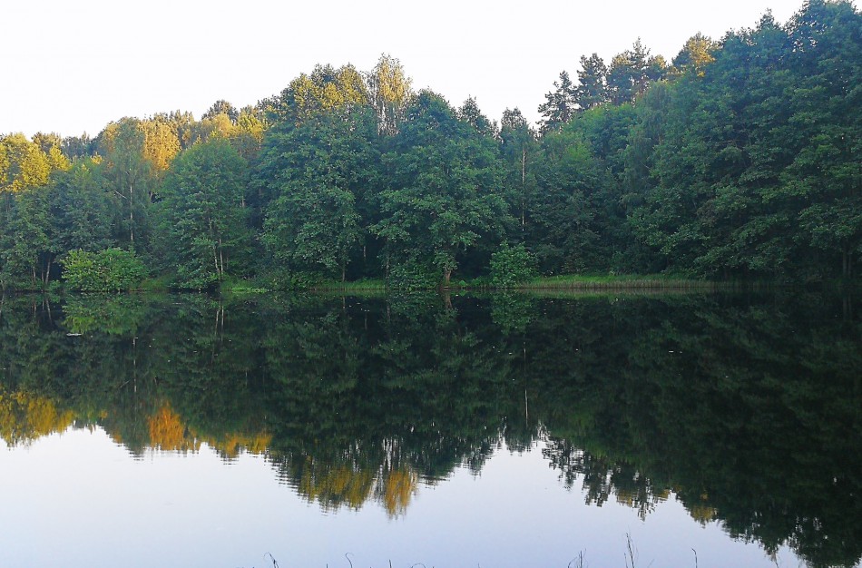 NŽT: Priėjimas prie vandens telkinių: ne tik teisės, bet ir pareigos