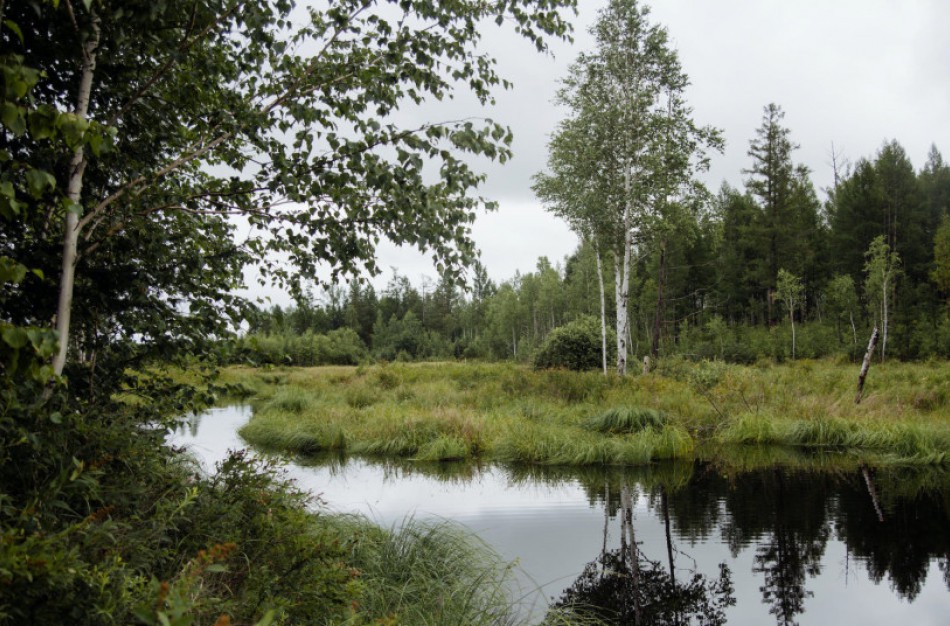 Žemės ūkio taršą sumažinti padės atkuriamos šlapynės