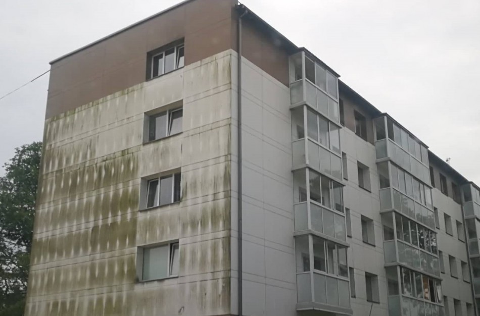 Jonavietė: Kodėl taip apsamanoja renovuoti namai? Kas „išgelbės“ žaliuojančias sienas?