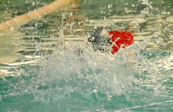 Šventiniai Jonavos jaunųjų plaukikų startai