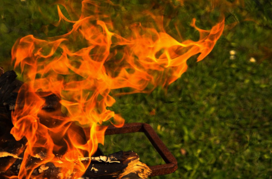 Teiraujamasi dėl žaliųjų atliekų tvarkymo: ar galima jas deginti laužavietėse?