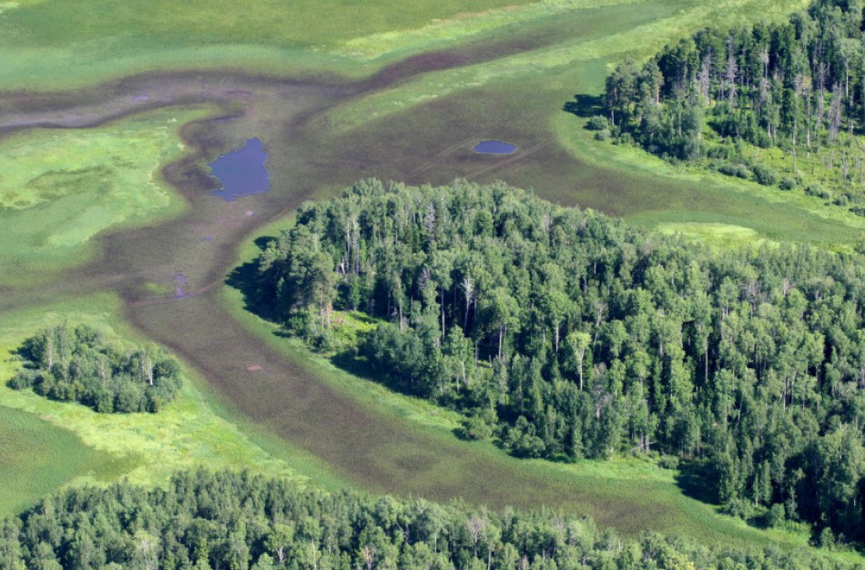 Aplinkosaugininkams kelia nerimą Lietuvos kraštovaizdžio pokyčiai