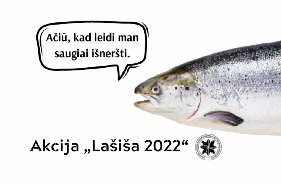 Akcija „Lašiša 2022“: aplinkosaugininkų dėmesys lašišoms ir šlakiams