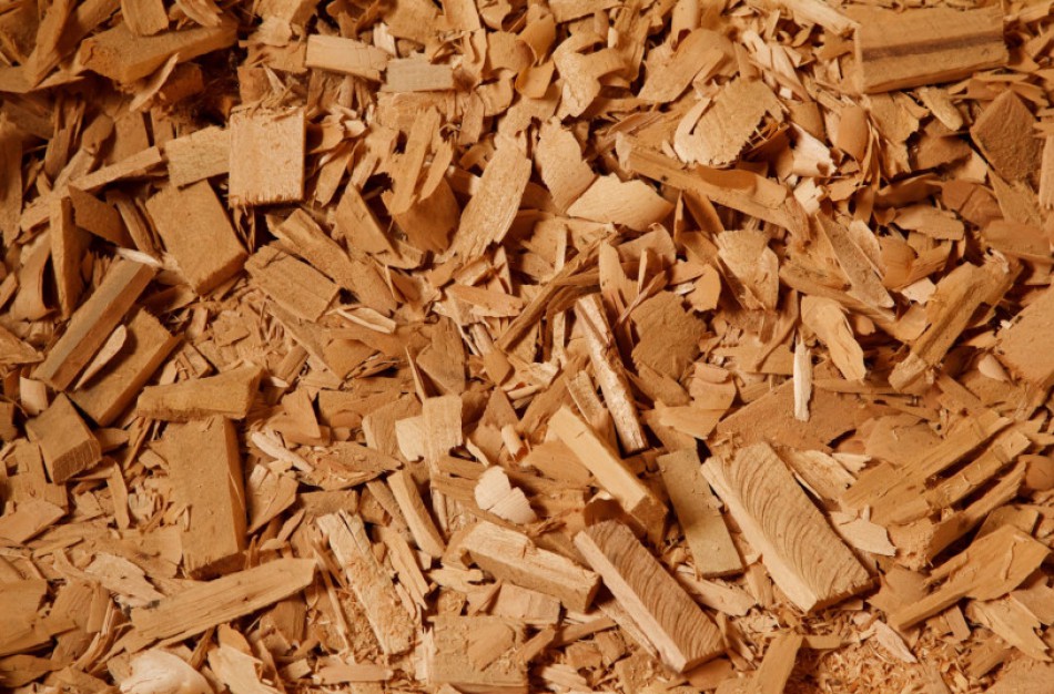 Priimti sprendimai, skatinantys didinti biokuro pasiūlą Lietuvos rinkoje