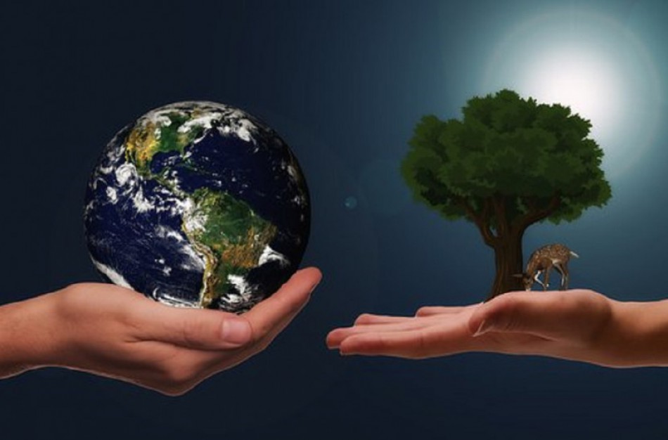 Anglies ūkininkavimas – nauda neabejotina, o kokios rizikos?