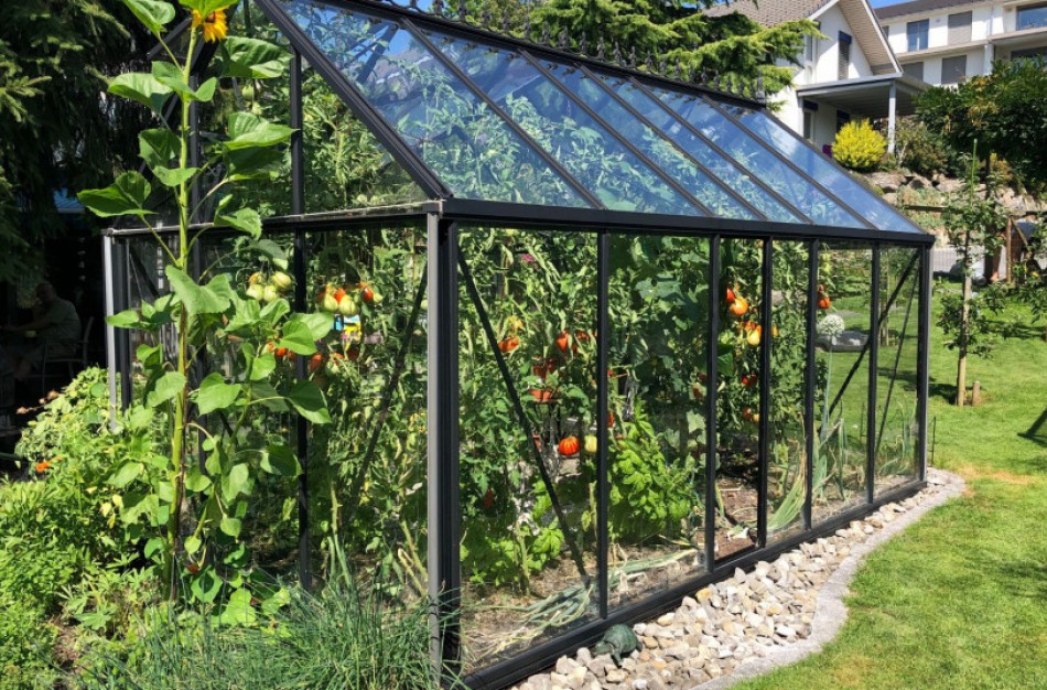 Kokiu atstumu nuo kaimyno tvoros galima statyti šiltnamį?