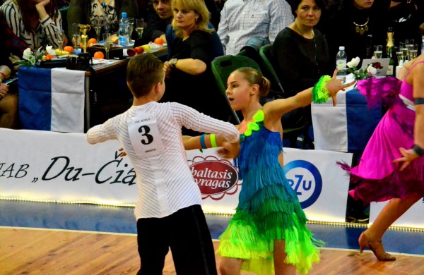 Valso ritmu ant parketo sukosi ir jonaviečių poros