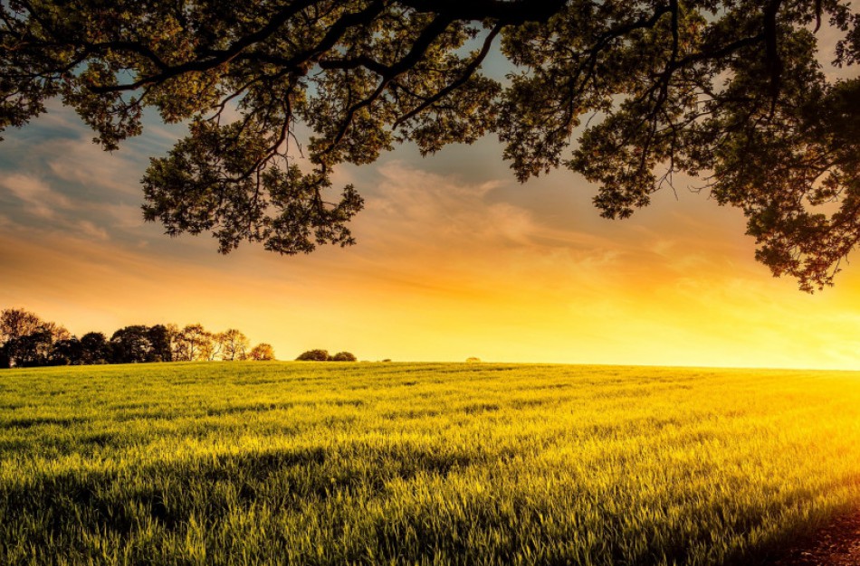 Registrų centras perskaičiavo žemės ir statinių vidutines rinkos vertes