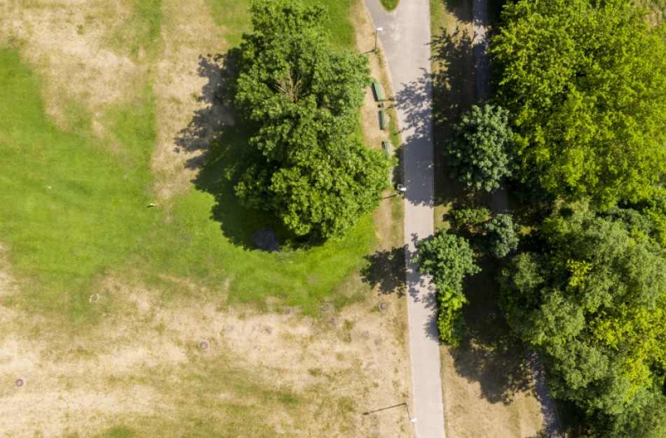 Iki Klimato savaitės liko mėnuo: kviečia siūlyti savo renginių idėjas ir iniciatyvas