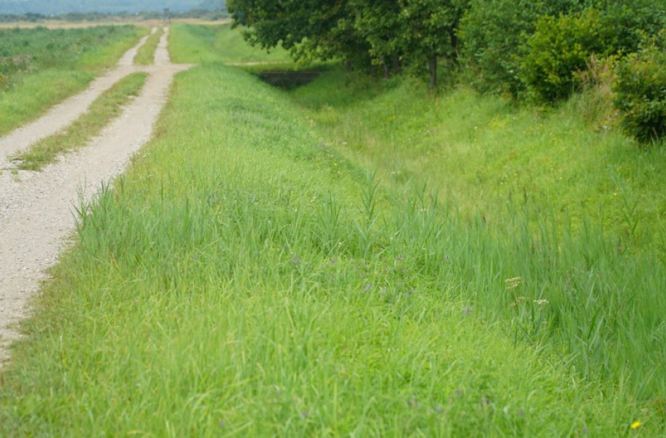 Investicijų į žemės ūkio valdas paramai – paskutinė paraiškų savaitė