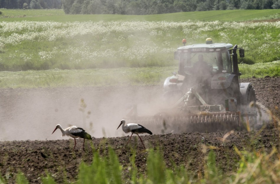 Žemės ūkis neišvengiamai turės prisidėti prie gamtos išsaugojimo