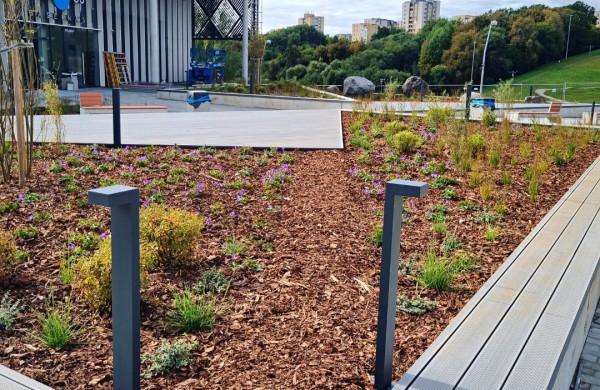 Pasirūpino šaltojo metų sezono augalais: Jonava neliks be gėlynų ir žolynų