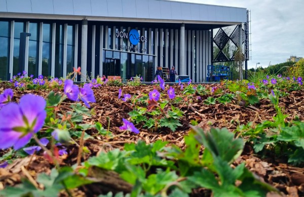 Pasirūpino šaltojo metų sezono augalais: Jonava neliks be gėlynų ir žolynų