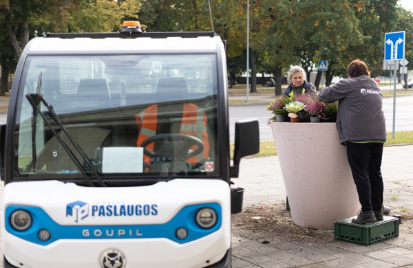 Pasirūpino šaltojo metų sezono augalais: Jonava neliks be gėlynų ir žolynų