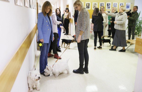 Gyvūnų diena savivaldybėje minima kartu su augintiniais