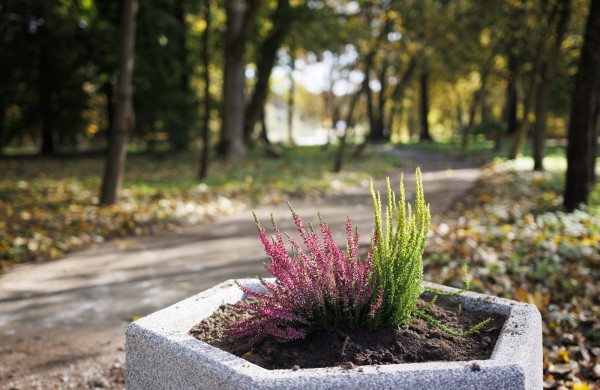 Išpildyta dar viena gyventojų idėja – atnaujintas Markutiškių parkas