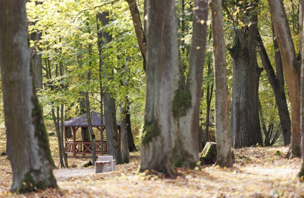 Išpildyta dar viena gyventojų idėja – atnaujintas Markutiškių parkas
