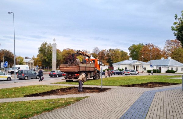 Mieste tęsiami apželdinimo darbai