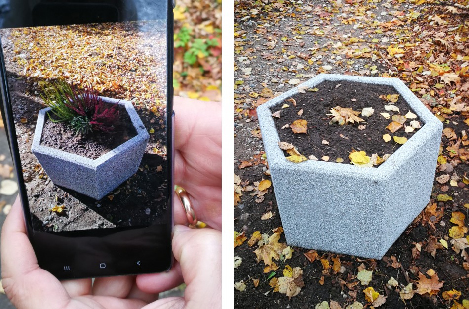 Markutiškių parke pasodintos gėlės patraukė niekadėjų dėmesį  