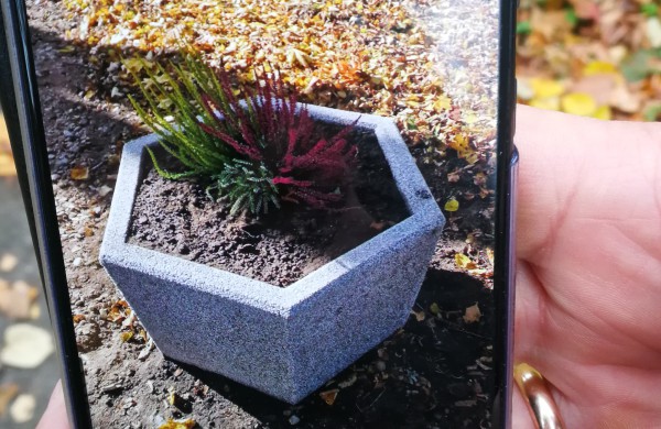 Markutiškių parke pasodintos gėlės patraukė niekadėjų dėmesį  