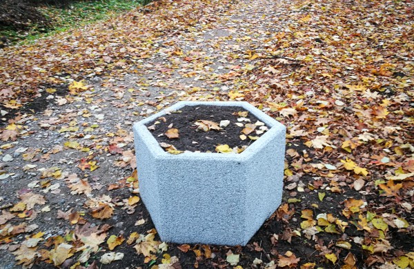 Markutiškių parke pasodintos gėlės patraukė niekadėjų dėmesį  