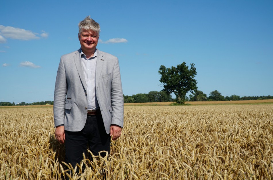 Lietuviškiems kviečiams atverta Meksikos rinka