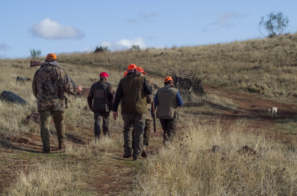 Spalio 15-oji – medžioklės su varovais pradžia: svarbu, kad gamtą saugotų ir inspektorius, ir medžiotojas