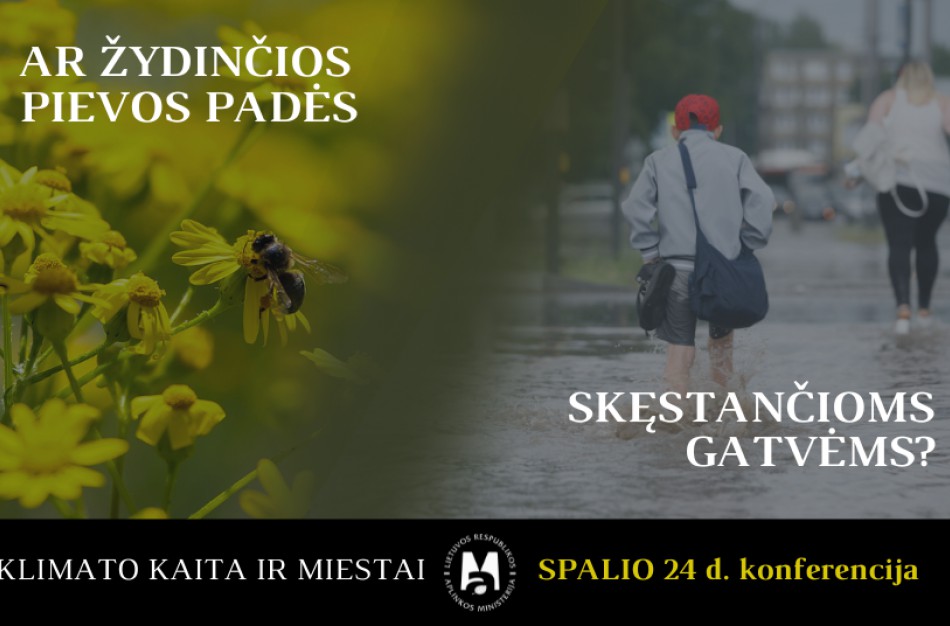 Prasideda klimato kaitos konferencija: ar žydinčios pievos padės skęstančioms gatvėms?