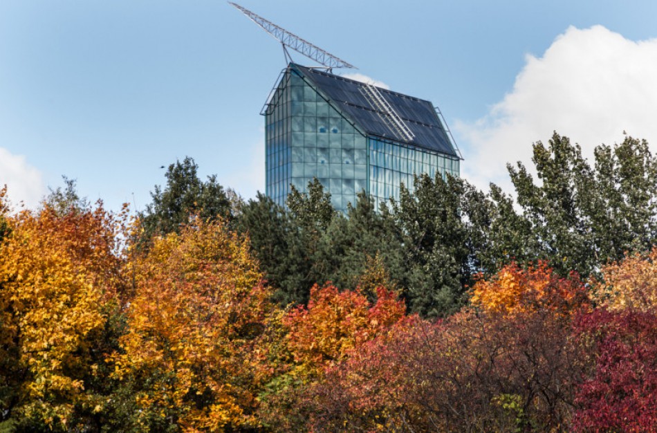 Aplinkos ministerija siūlo planuoti atskiruosius želdynus miestuose 300 m pasiekiamumo rodikliu
