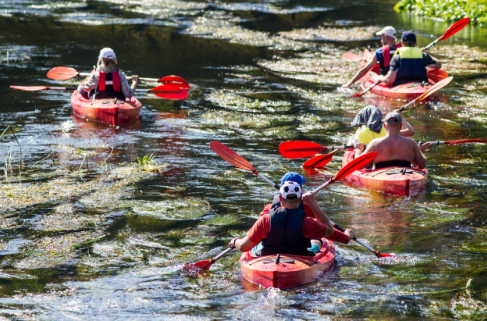 Neršia lašišinės žuvys – nerekomenduojama plaukti nusekusiomis upėmis